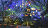 Christmas Extravaganza