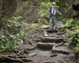John Navigating  Roots