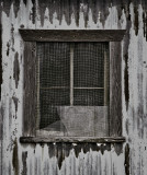 Shed Window