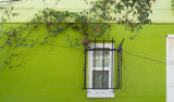 One Guarded Window