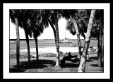 Picnic Area, St. Petersburg