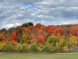 Humber Valley, Toronto