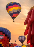 The Great Reno Balloon Race 2015