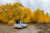 Along Hwy. 89