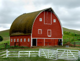 Palouse 2006