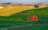 Palouse 2006