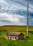 Palouse 2013