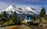 Coast Starlight / Mt. Shasta