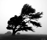 California Coast