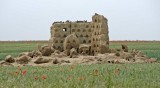 OLD PIGEON HOUSE IN SPAIN