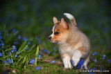 Apr24_19_181.jpg