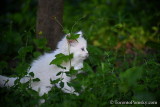 June16_20_131.jpg