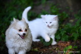 June16_20_065.jpg
