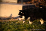 Mar9_21_010.jpg