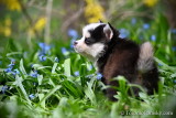 Apr24_21_324.jpg