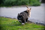 May14_21_024.jpg