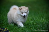 Aug8_21_024.jpg