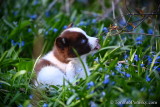April29_22_032.jpg