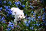 April29_22_488.jpg
