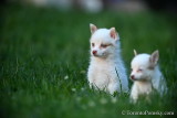 June4_21_101.jpg
