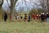 Queens @ USports XCountry 03901 copy.jpg