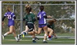 _HP_7932_copy_a_copy.jpg