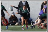 _HP_8194_copy_a_copy.jpg
