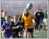 _HP_8731_copy_a_copy.jpg