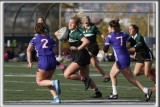 _HP_8655_copy_a_copy.jpg