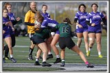_HP_8375_copy_a_copy.jpg