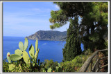 VERNAZZA, Cinque Terre Italia   _P0A2942
