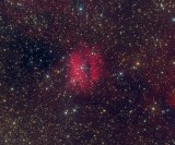 Coffee Bean Nebula (RCW 98)