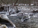 Freezing river