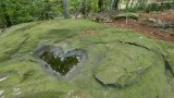 Heart of the forest