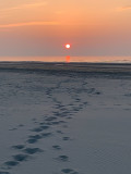 avondzonnetje