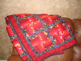 Aaron's Red Rail Quilt - 2007