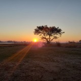 Sunrise on the Kafue