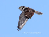 In flight