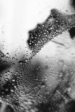 Spider Silk