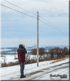 Snowy Owl Pursuits By Photographer