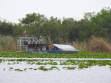 Everglade