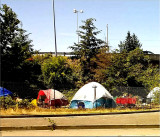 Homeless in Seattle
