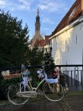 Somewhere in The Netherlands - 2
