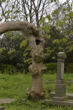 Cemetery Groene steeg