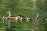 Family Outing