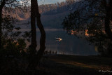 early fisherman at Lake Chabot