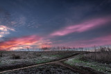  at dawn