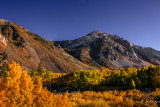 fall colors of Bishop Creek Mountains