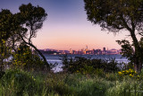 Albany Bulb