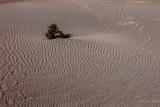 oscillatory wavelts of sand dune